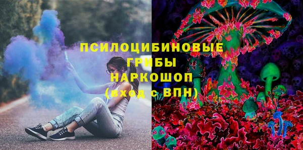 стафф Аркадак