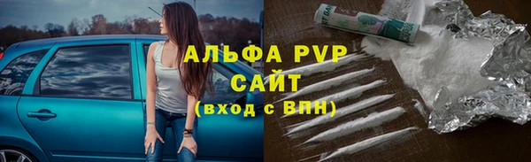 стафф Аркадак