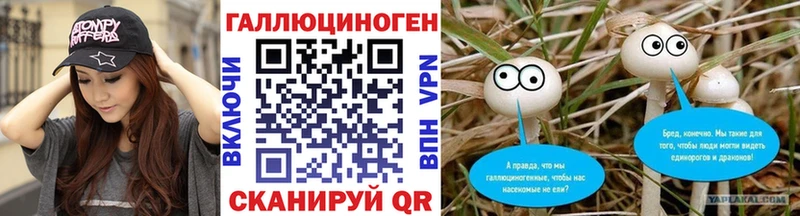 Купить  Катав-Ивановск  Псилоцибиновые грибы GOLDEN TEACHER 