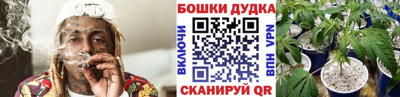 Купить где  Катав-Ивановск  Марихуана VHQ 